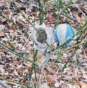 Meet your Posher, Judy